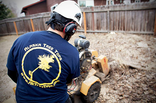 Stump grinding services by Alaska Tree Tops.